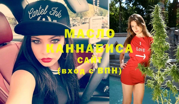 индика Тында